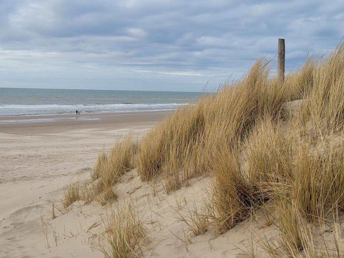 Tiny Villa De Haas Met Infraroodsauna Egmond aan Zee Exterior foto